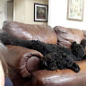 Meet your Posher, Michaela